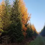 4 Person In Skaerbaek-by Traum 別荘
