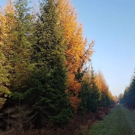 4 Person In Skaerbaek-by Traum Hébergement de vacances